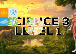 Science 3 Level 1 (Special Power Up Brain)